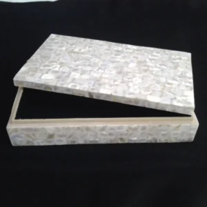opulent homes white mother of pearl box 10x5x3