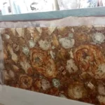 stone plus india petrified wood brown slab/ tabletop