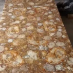 stone plus india petrified wood brown slab/ tabletop