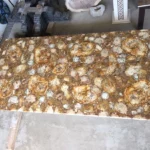 Petrified Wood Brown Slab/ Tabletop - View 5