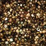 stone plus india coal agate