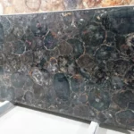 Petrified Wood Brown Slab - View 2