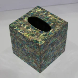 opulent homes green mother of pearl tissue box 666