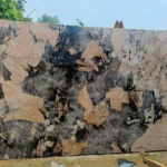 Pink Patagonai Granite Slab