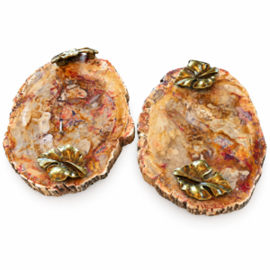Platter Petrified Wood