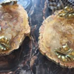 Platter Petrified Wood - View 2