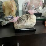 The Dusk Watcher - Smoky Quartz Bird on Amethyst Base