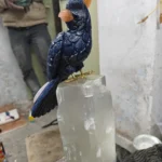 The Crested Cockatoo - Sodalite & Rose Quartz Bird on Selenite Base